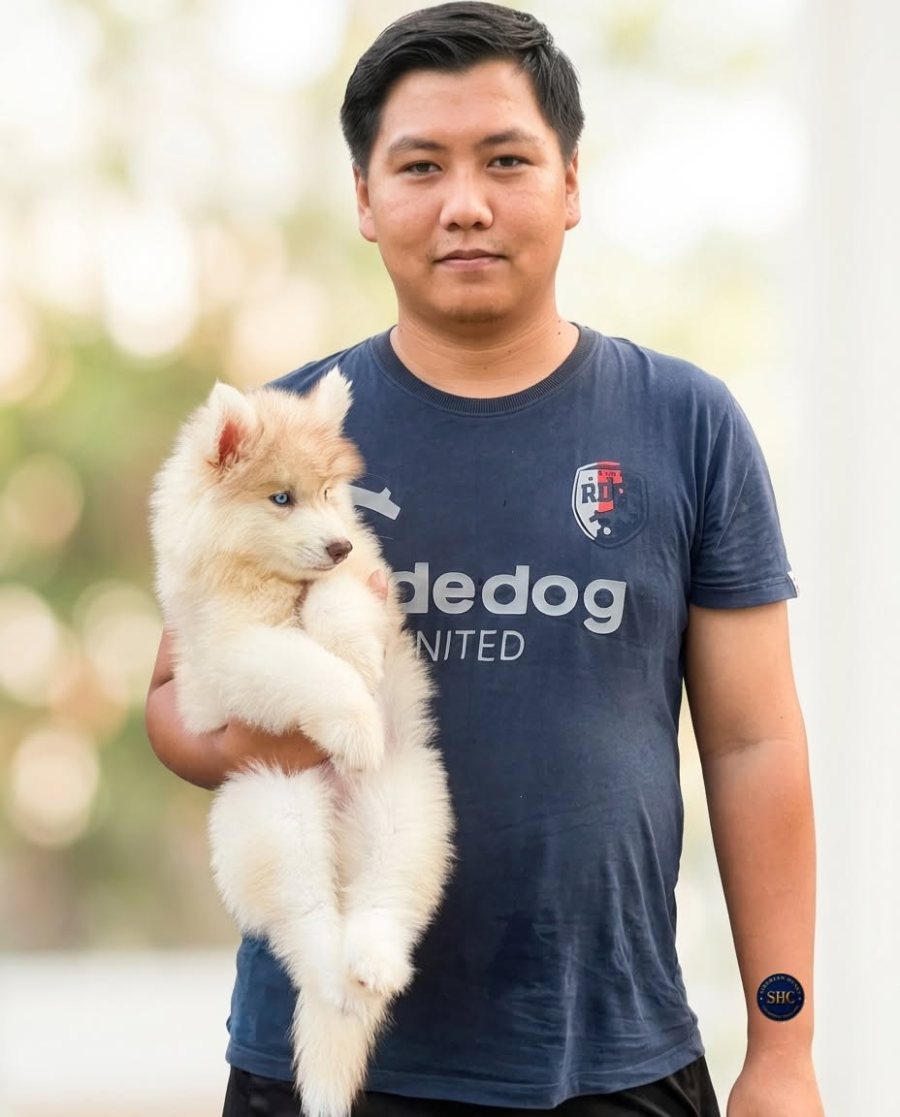 น้องปรับตัวเข้าบ้านได้ดี — ลูกไซบีเรียนฮัสกี้จากฟาร์มไซบีเรียนชุมพร