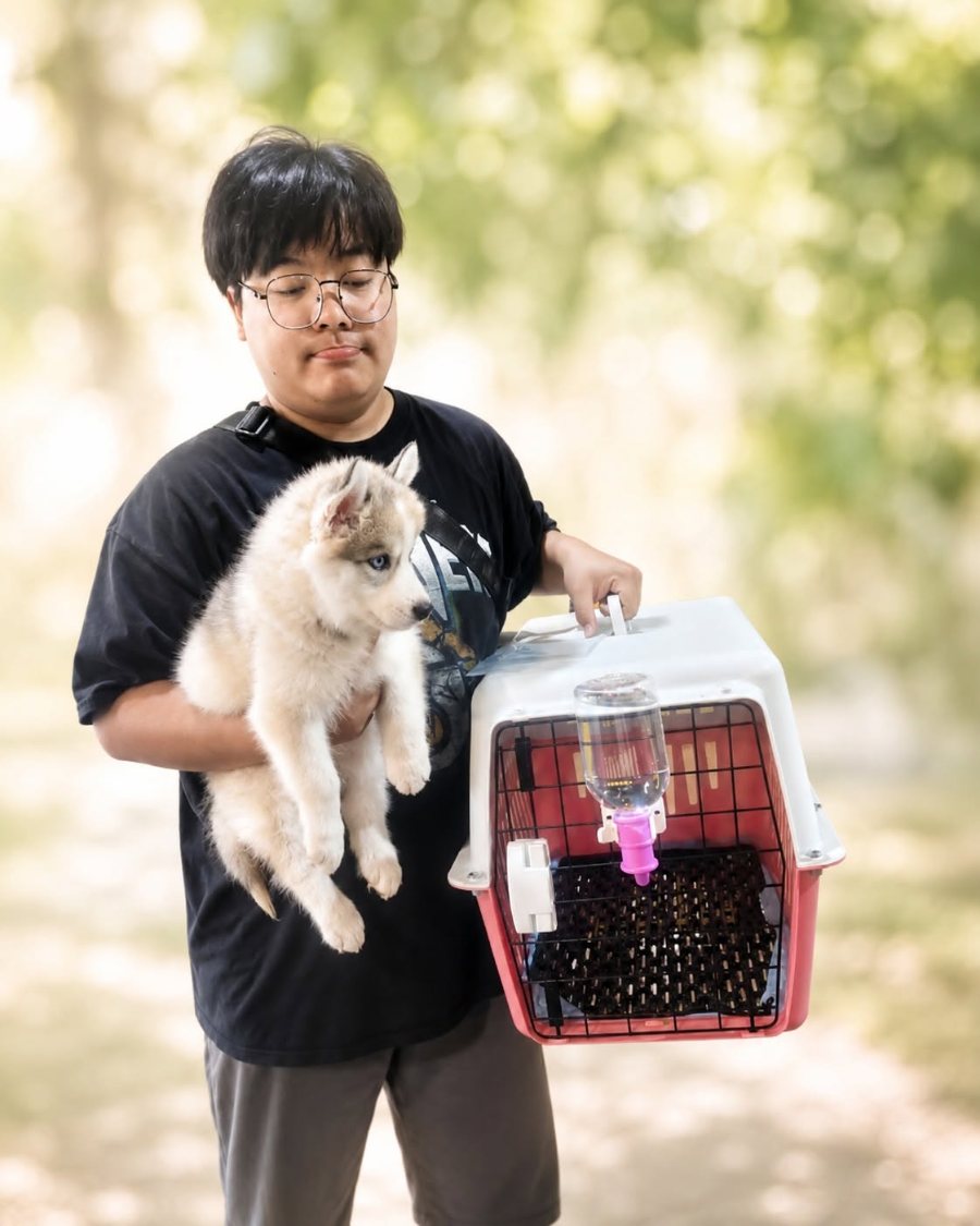 วันแรกที่บ้านใหม่ — ลูกไซบีเรียนฮัสกี้จากฟาร์มไซบีเรียนชุมพร