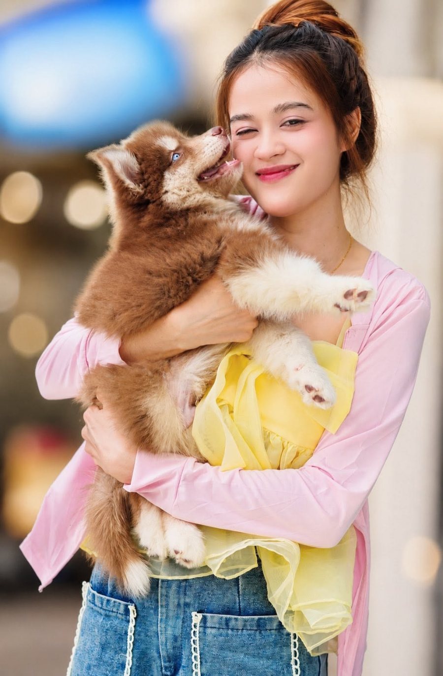 บรรยากาศรับน้องกลับบ้าน — ลูกไซบีเรียนฮัสกี้จากฟาร์มไซบีเรียนชุมพร
