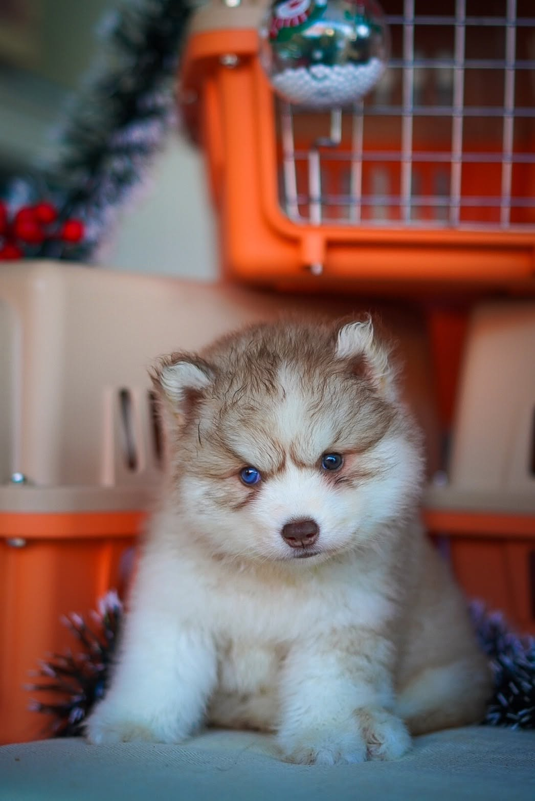 Caramel รูปที่ 2