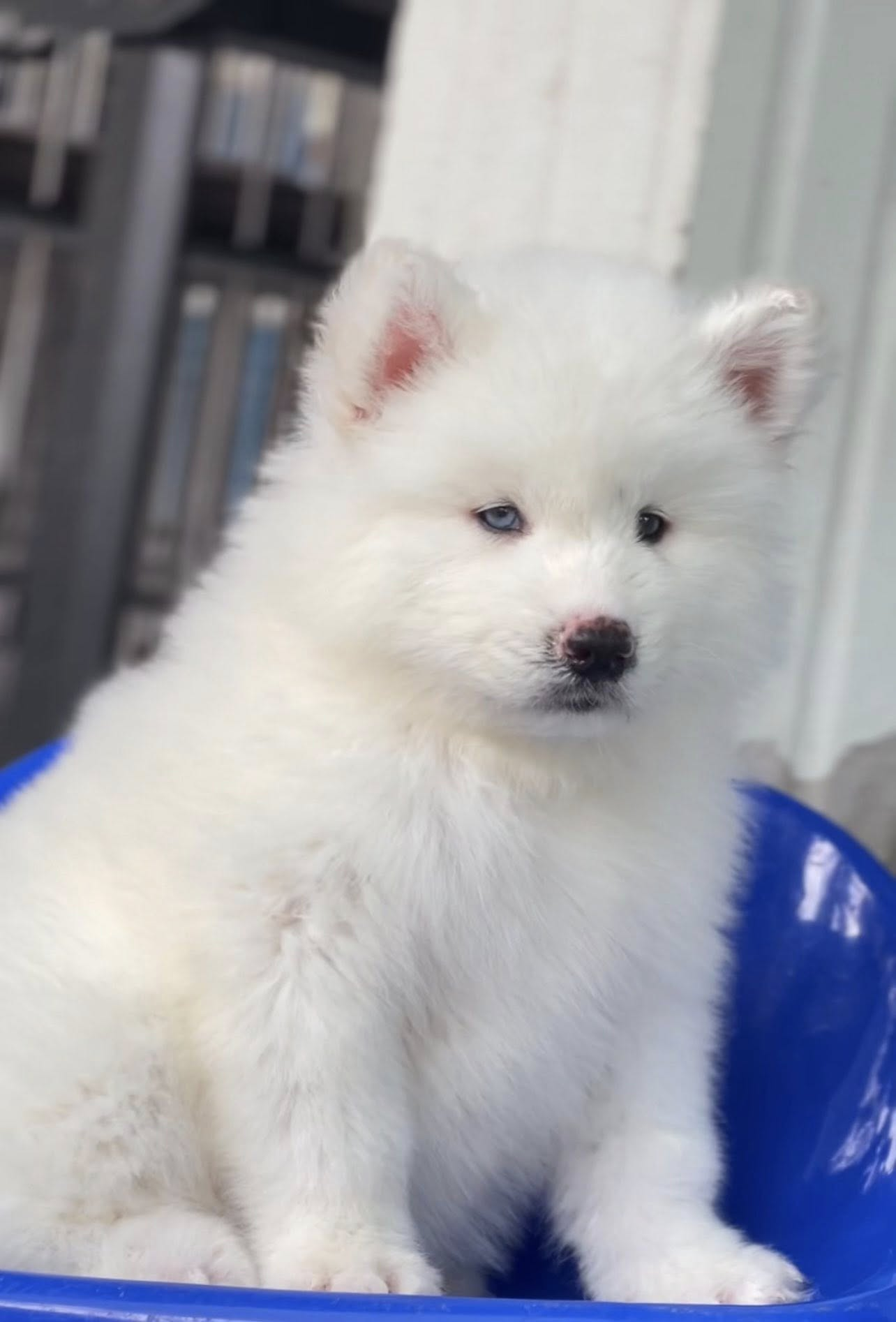 Luna รูปที่ 3