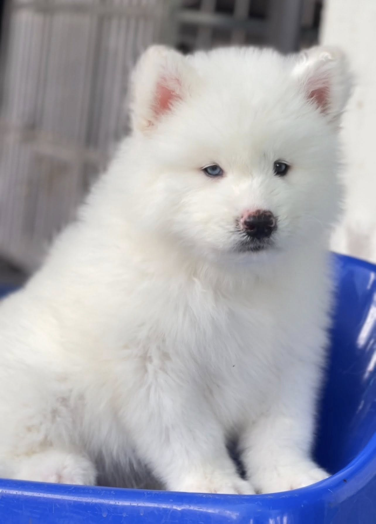 Luna รูปที่ 2