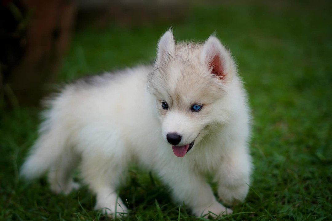 Snow รูปที่ 3