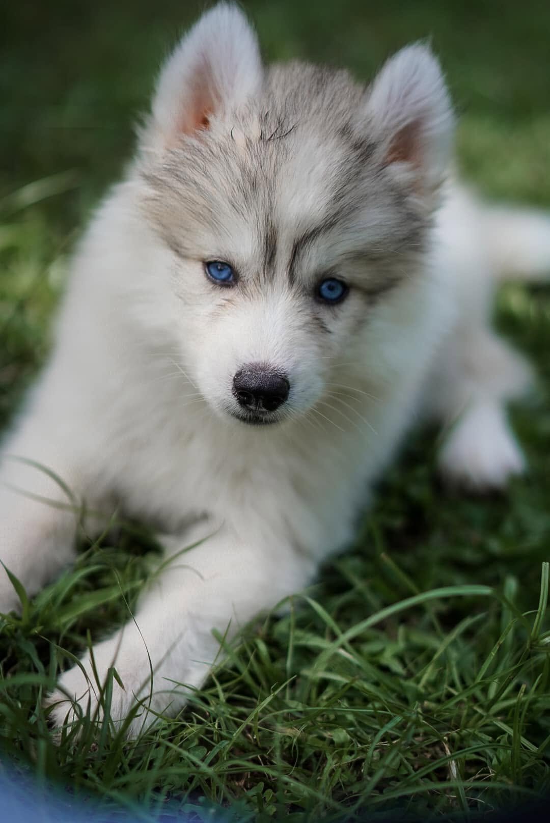 Snow รูปที่ 2