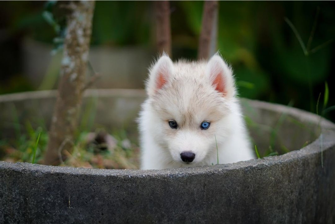 Snow รูปที่ 5